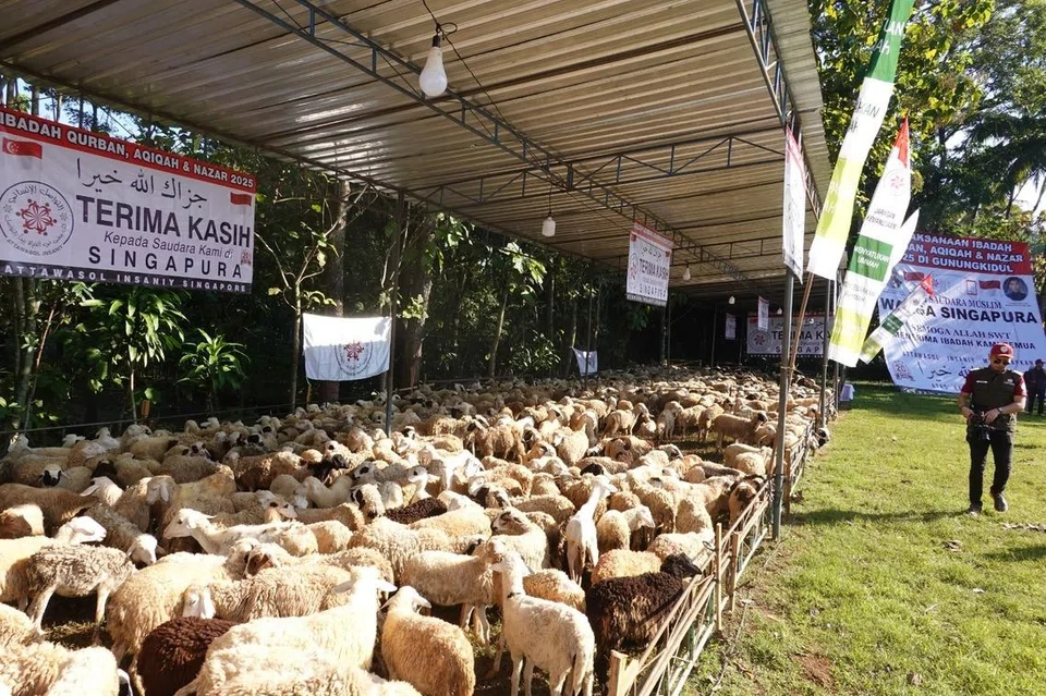 kadang, kambing ternakan, piawaian kesihatan