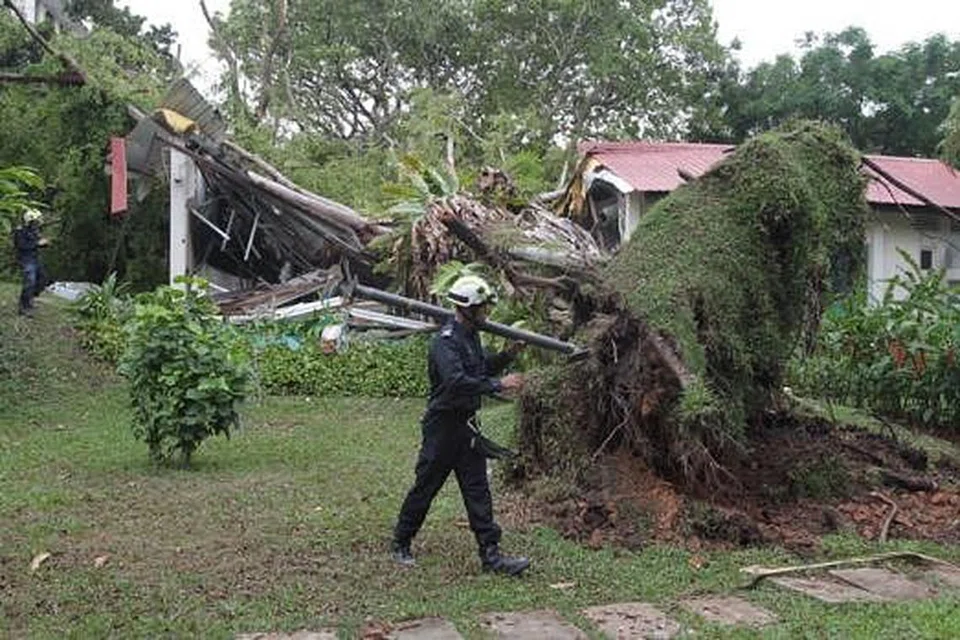 TUMBANG: Sebatang pokok tumbang dan mengakibatkan runtuhnya sebahagian bangunan yang sedang menjalani kerja ubah suai di Hospital Alexandra. - Foto THE STRAITS TIMES