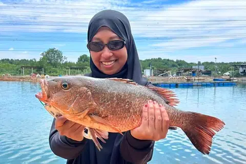 Isteri Encik Azhar, Cik Riyanna, berjaya menangkap seekor ikan siakap merah (Mangrove Jack) baru-baru ini ketika mereka sekeluarga melancong ke Port Dickson, Malaysia.