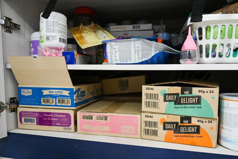 Setiap bulan, Cik Farizah akan membelanjakan kira-kira $300 sebulan untuk membeli makanan, susu, selimut dan mainan untuk kucing di bawah jagaannya.