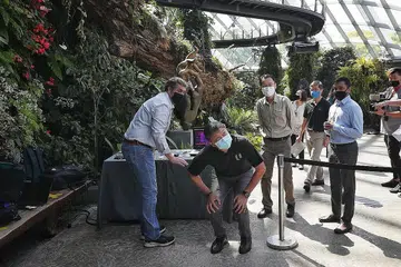 PANTAU PENGGUNAAN TEKNOLOGI: Encik Ng (membongkok) memantau penerbangan dron untuk mengesan ketidaktentuan pengairan di Cloud Forest. Robot juga digunakan untuk menyembur baja tapak semaian sejuk. - Foto BH oleh JASON QUAH
