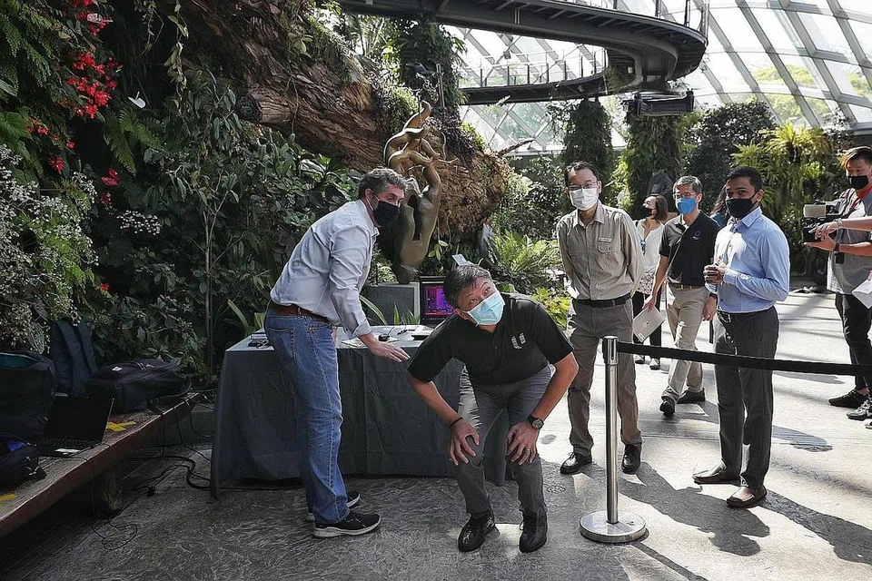 PANTAU PENGGUNAAN TEKNOLOGI: Encik Ng (membongkok) memantau penerbangan dron untuk mengesan ketidaktentuan pengairan di Cloud Forest. Robot juga digunakan untuk menyembur baja tapak semaian sejuk. - Foto BH oleh JASON QUAH