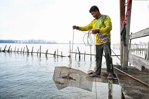 akuakultur, ladang ikan, makanan ikan