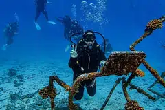Penulis meneroka perairan Pulau Tioman sedalam 12 meter ketika menjalani kursus bagi mendapatkan sijil selam skuba air terbuka atau ‘open water’. Pengembaraan singkat pada hujung minggu itu membuka peluang melangkah keluar daripada zon selesa dan menikmati dunia berbeza di bawah permukaan laut.