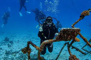 Penulis meneroka perairan Pulau Tioman sedalam 12 meter ketika menjalani kursus bagi mendapatkan sijil selam skuba air terbuka atau ‘open water’. Pengembaraan singkat pada hujung minggu itu membuka peluang melangkah keluar daripada zon selesa dan menikmati dunia berbeza di bawah permukaan laut.