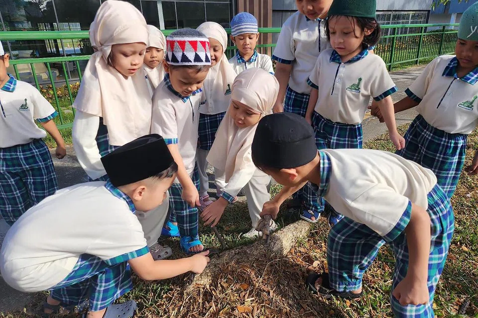 Dengan kegiatan luar darjah yang menarik, kanak-kanak di Tadika Masjid Darul Makmur berpeluang meneroka dan melibatkan diri dengan alam semula jadi. Ia turut merangsang minda dan membangkit rasa ingin tahu dalam diri mereka. 