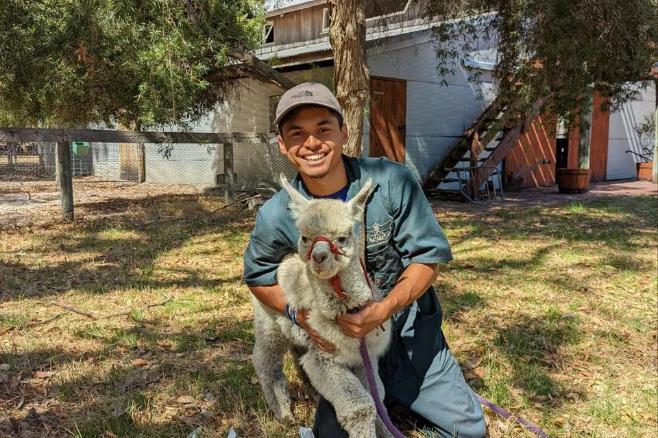 PENCINTA HAIWAN: Amar kini menuntut di Universiti Murdoch di Perth untuk mengikuti kursus dalam Veterinar Sains. 