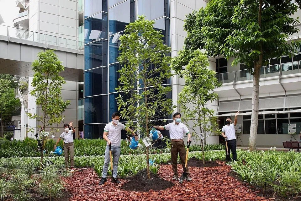 LEBIH HIJAU: Encik Heng Swee Keat (kanan) dan Mayor North East CDC, Encik Desmond Choo, menanam pokok magnolia champaca di pelancaran pergerakan Bersih dan Hijau tahunan semalam, di kampus ITE College East. - Foto FACEBOOK/ HENG SWEE KEAT
