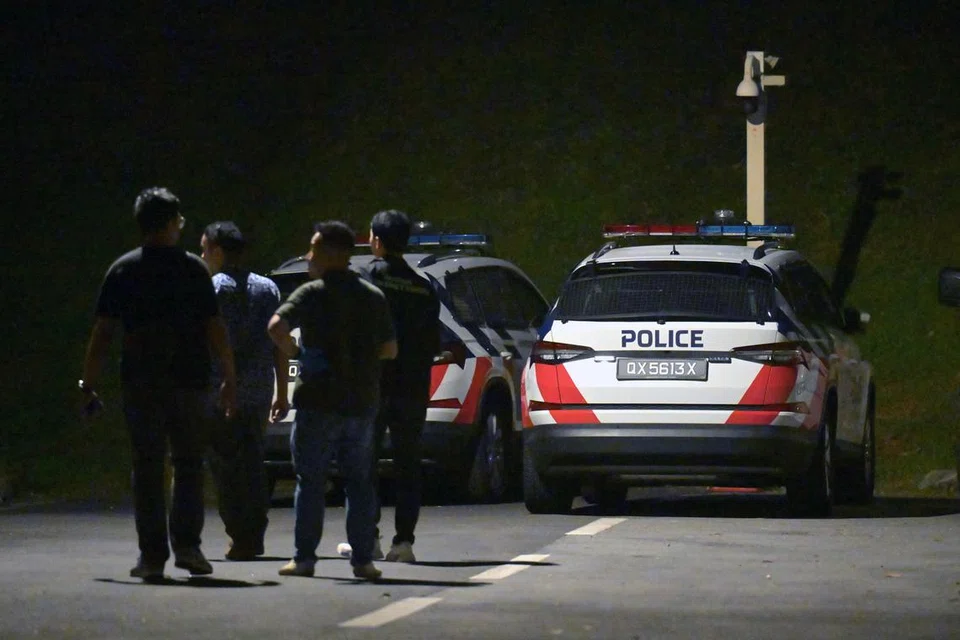 Pegawai polis dilihat menjalankan operasi di kawasan berhutan berhampiran Greenleaf Place di Bukit Timah pada malam 8 Ogos.