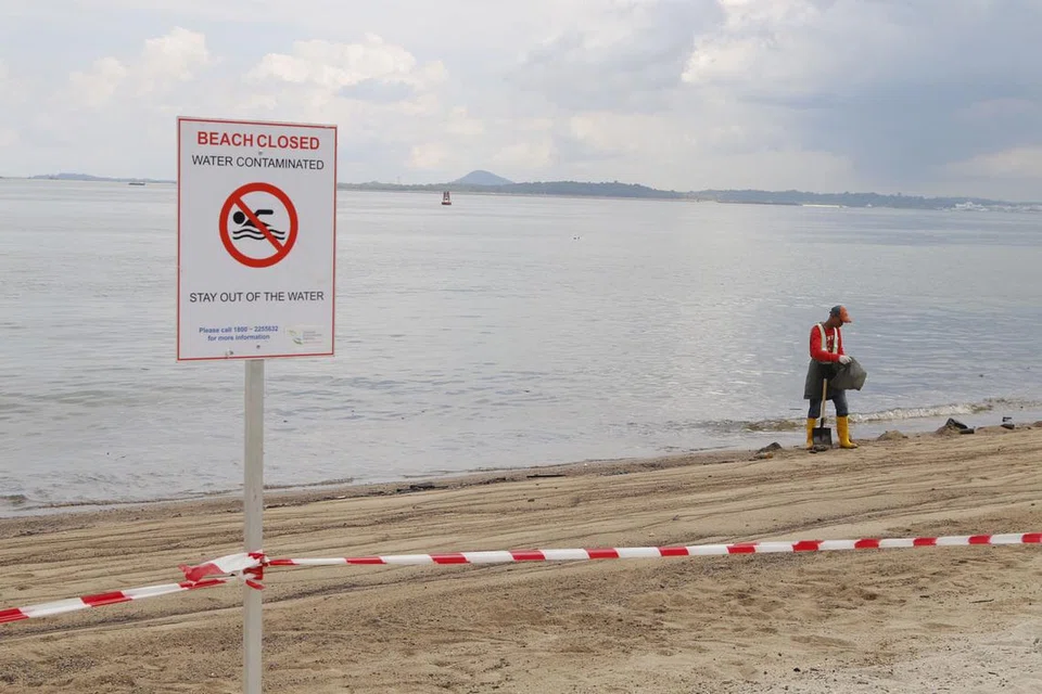 PAPAN TANDA AMARAN: Pantai Changi sepanjang 800 meter yang terjejas dengan pencemaran minyak ditutup kepada orang awam bagi membolehkan kerja pembersihan dijalankan. - Foto FARAH REZAL