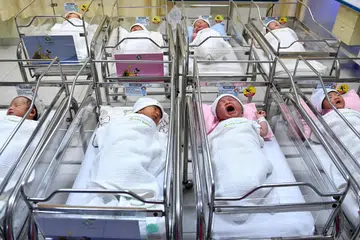 SI COMEL: Sekumpulan bayi baru lahir di sebuah wad bersalin di Hospital Bersalin Tambak, Jakarta. 
