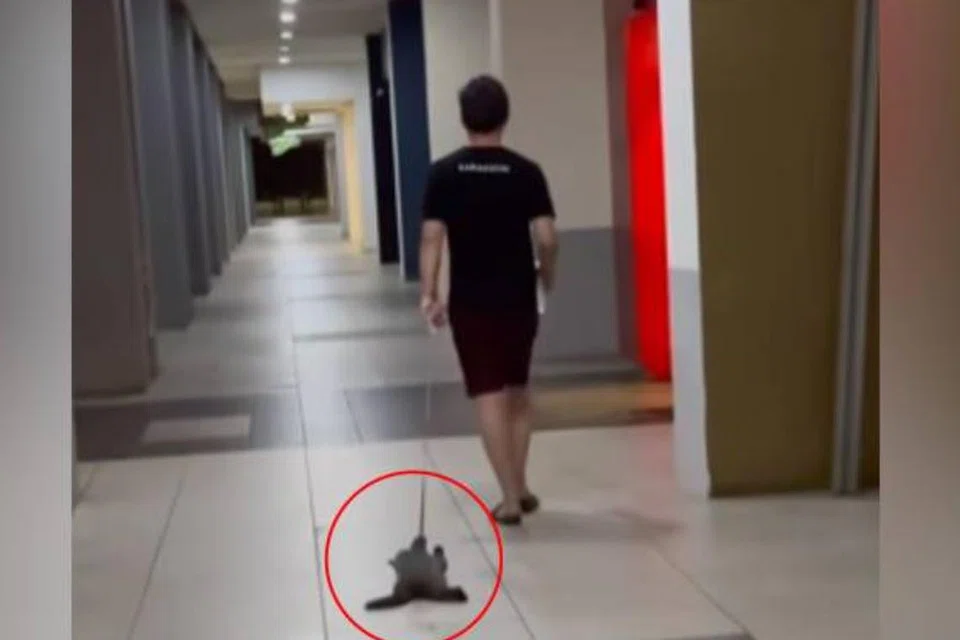 Lelaki ini ditahan polis pada 24 November di Kuala Lumpur, kerana dipercayai menganiaya seekor kucing dengan menariknya menggunakan tali yang diikat di leher haiwan itu.