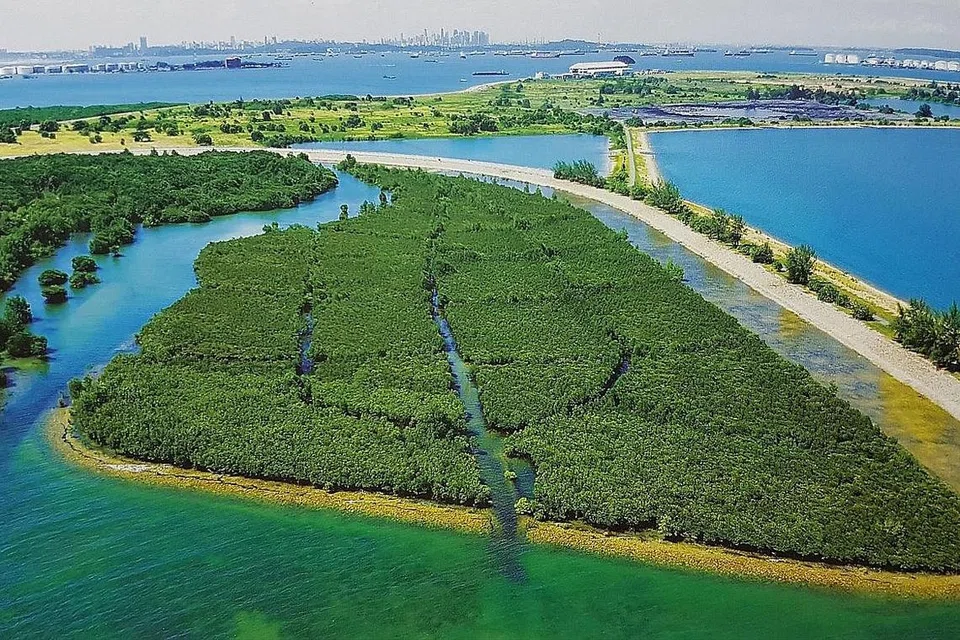 PROJEK UNIK: Tapak Pelupusan Sampah Semakau Semak merupakan sebuah kisah kejayaan yang unik yang memperlihatkan bagaimana sisa dan kehidupan marin dapat wujud bersama. - Foto NEA