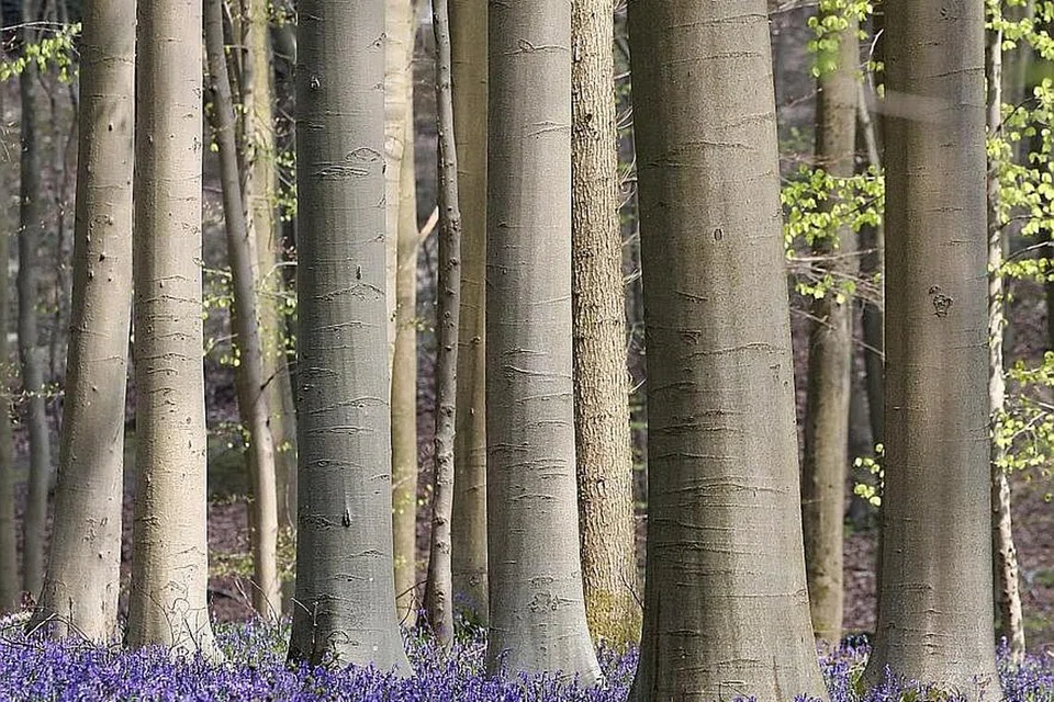SEMUA MAKHLUK ADA HAK DILAYAN DENGAN BAIK: Islam menitikberatkan amalan baik bukan sesama manusia sahaja, bahkan kepada semua makhluk lain Tuhan yang hidup di bumi-Nya ini, termasuk haiwan dan alam sekitar. - Foto fail