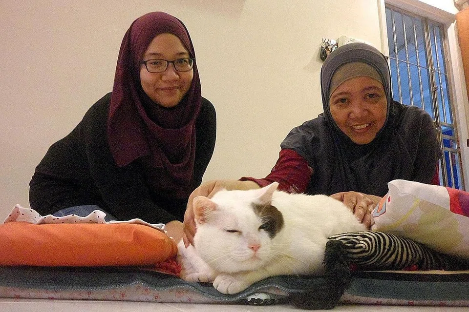 CARY TERKENAL DI INSTAGRAM: Cik Nur Elhuda Hasbullah (kiri) dan ibunya, Cik Hamsiah Jaafar, telah menjaga si kucing Cary sejak 12 tahun lalu. - Foto NUR DHUHA ESOOF