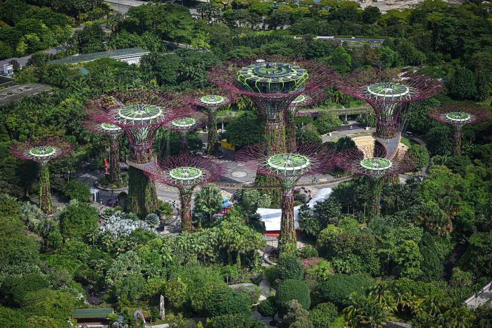 KEHIJAUAN BANDAR: Gardens by the Bay melambangkan visi Singapura Menghijau yang dimiliki mendiang Lee Kuan Yew untuk Singapura. Kawasan tersebut mengimbangi keindahan ekologi dan pembangunan moden, memastikan kehijauan terus dikekalkan sedang bandar itu terus membangun.
