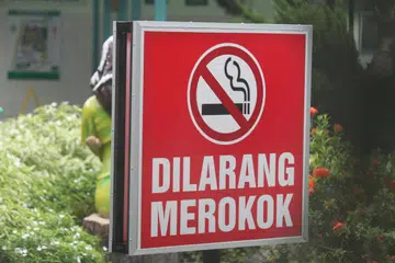 rokok