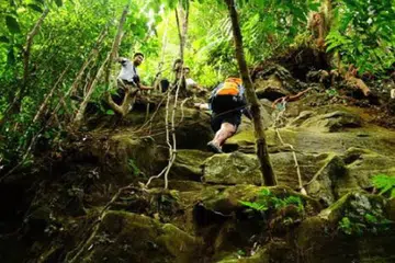 Taman Eko Rimba Panti di Kota Tinggi, Johor, antara yang ditutup daripada kunjungan awam bermula 15 November sehingga satu tarikh yang akan ditentukan kelak, berikutan musim tengkujuh yang diramal bermula 19 November di Johor. 