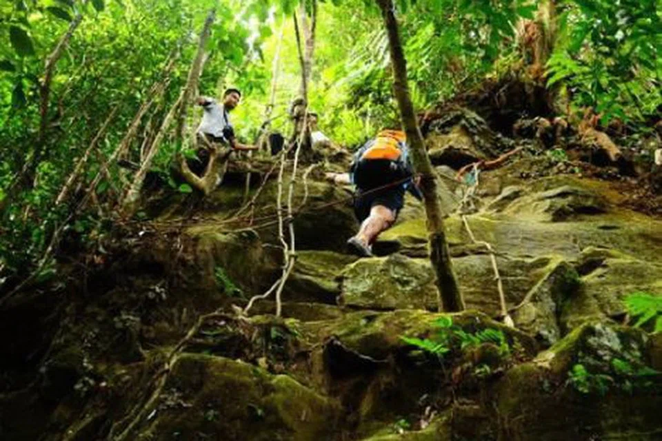 Taman Eko Rimba Panti di Kota Tinggi, Johor, antara yang ditutup daripada kunjungan awam bermula 15 November sehingga satu tarikh yang akan ditentukan kelak, berikutan musim tengkujuh yang diramal bermula 19 November di Johor. 