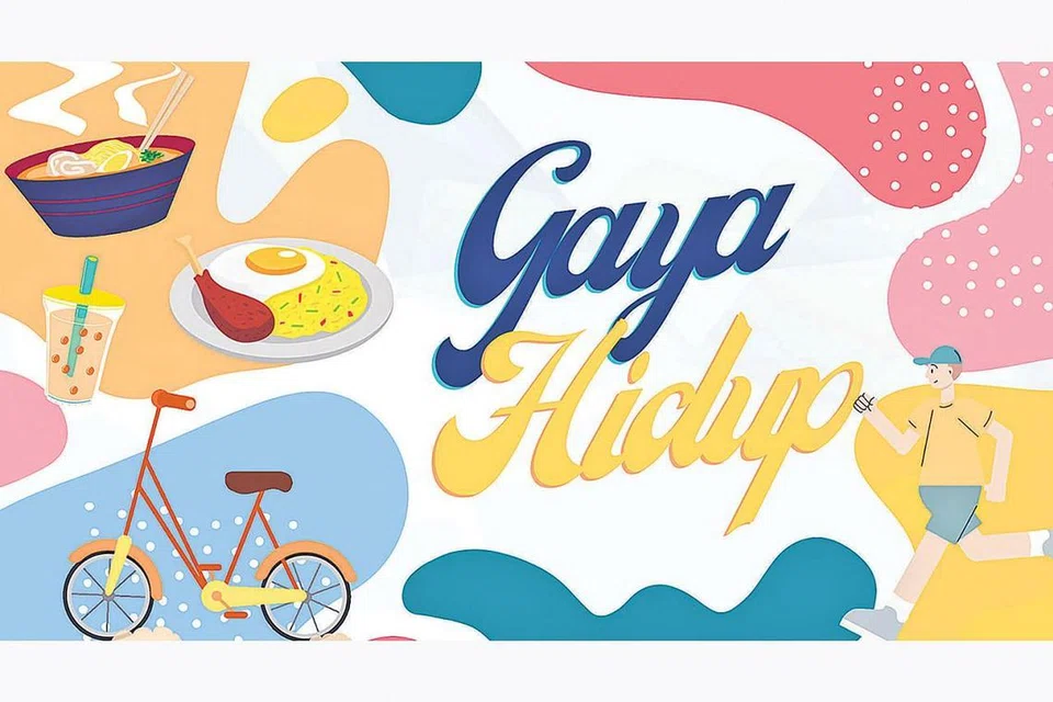 SEGMEN GAYA HIDUP