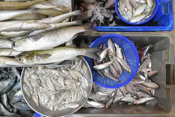 TAWAR BARANGAN MUTU TINGGI: Untuk pastikan pelanggan kekal berpuas hati dengan barangan yang dibeli Cik Shakila, pemilik bersama Five5Empire MeatSeafood hanya menawarkan makanan laut yang berkualiti kepada pelanggannya. - Foto-foto BH oleh ALPHONSUS CHERN, FIVE5EMPIRE MEATSEAFOOD