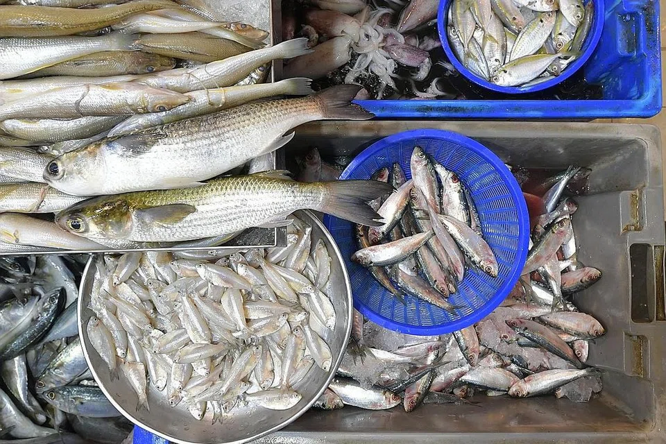 TAWAR BARANGAN MUTU TINGGI: Untuk pastikan pelanggan kekal berpuas hati dengan barangan yang dibeli Cik Shakila, pemilik bersama Five5Empire MeatSeafood hanya menawarkan makanan laut yang berkualiti kepada pelanggannya. - Foto-foto BH oleh ALPHONSUS CHERN, FIVE5EMPIRE MEATSEAFOOD