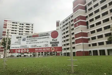 KES DENGGI: MOH dan NEA berkata 60 kes denggi dilaporkan di kelompok denggi terbesar sejauh ini bagi tahun ini di Jurong West Street 91 dan 92.