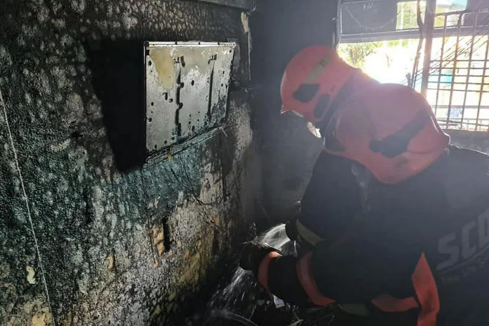 Satu siasatan awal menunjukkan kebakaran itu disebabkan oleh sumber elektrik di ruang tamu flat itu, kata SCDF. 