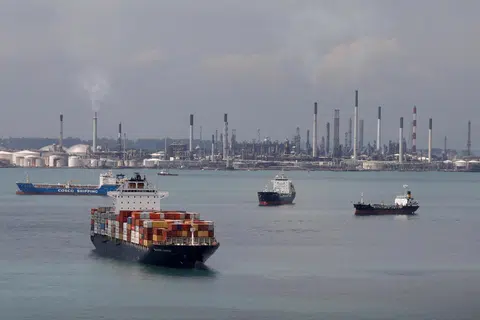 Aset yang dijual oleh Shell termasuk kilang penapisan yang berupaya memproses 237,000 tong sehari (bpd) bagi penapisan minyak, dan loji etilena 1.1 juta metrik tan setahun di Pulau Bukom. 