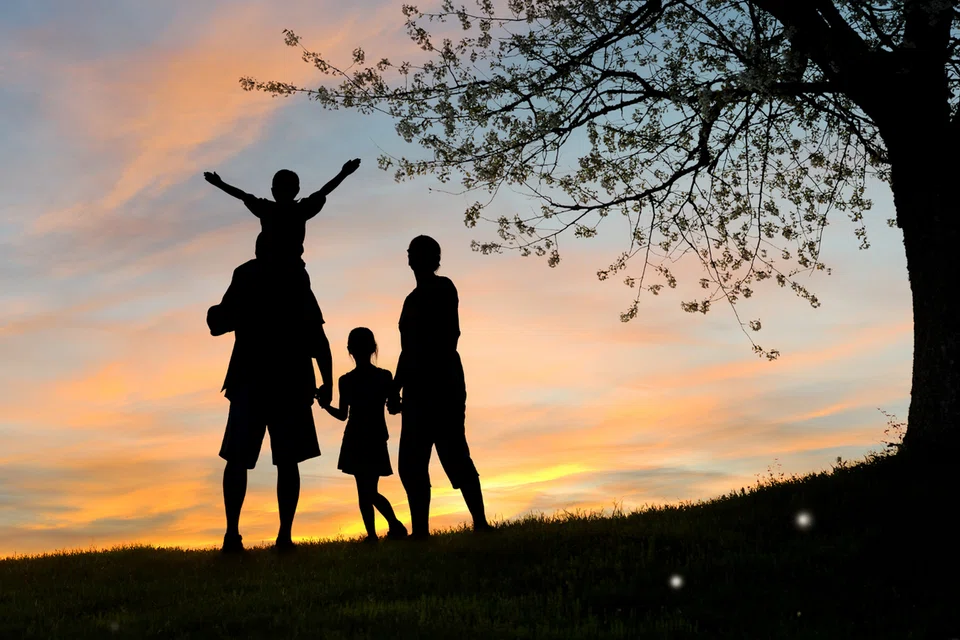 makan pakai, sokongan emosi, hubungan, anak-anak, ibu bapa, keluarga bahagia