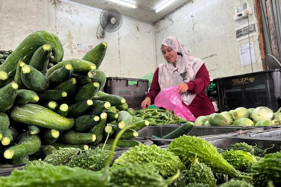 Pemborong sayur dan ikan di Pasar Borong Kuala Lumpur, Cik Nurul Ain Osman, 35 tahun, bimbang lonjakan harga sayur menjelang perayaan Aidiladha 17 Jun ini, berikutan kenaikan harga diesel yang diumumkan kerajaan pada 10 Jun.