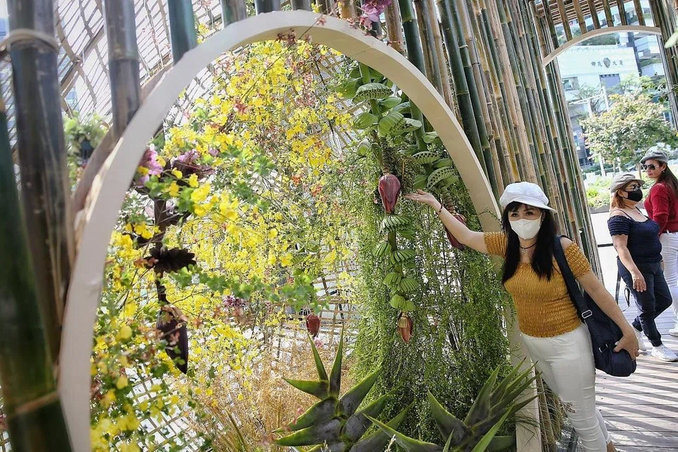 TERPIKAT: Seorang pengunjung tertarik pada paparan yang dipanggil Echoes of Almeda di luar ION Orchard. - Foto BH oleh FELINE LIM 