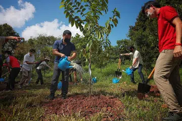 KORIDOR REL DIPERTINGKAT: Encik Lee (berbaju biru) dan Ketua Pegawai Eksekutif URA Lim Eng Hwee (kanan) di majlis menanam pokok di bahagian tengah Koridor Rel untuk menandakan pembukaan semulanya semalam. - Foto BH oleh JASON QUAH