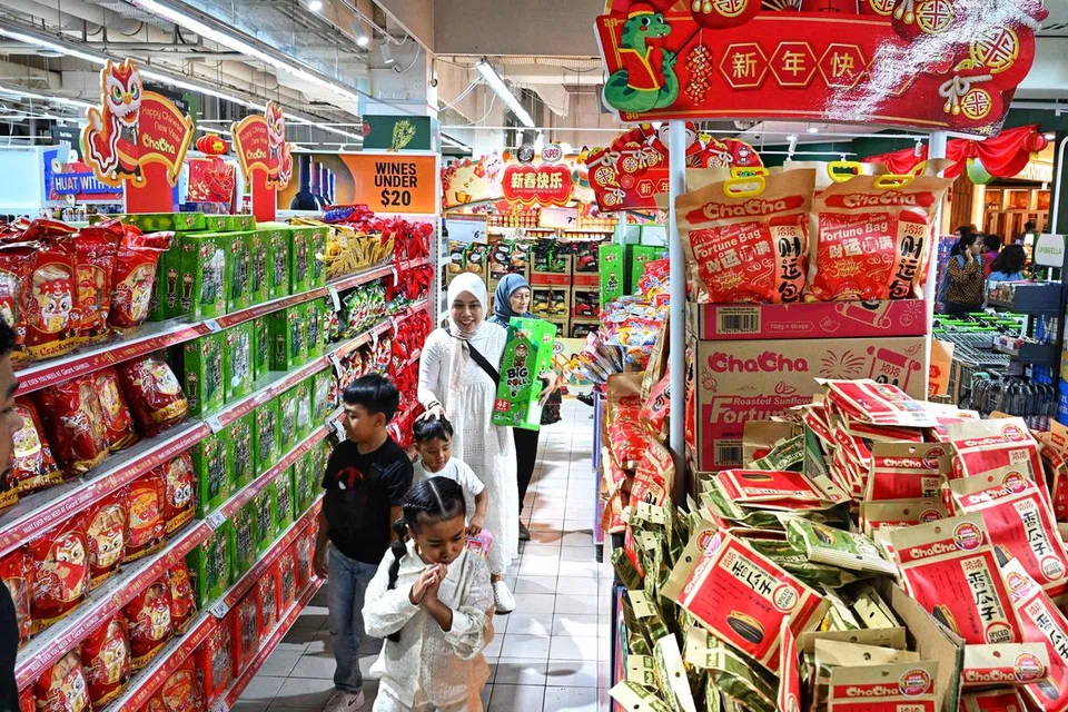 Lebih 30 rakan kongsi korporat telah turut serta untuk memberi tawaran kepada keluarga yang mempunyai tiga anak atau lebih bagi menyokong Skim Keluarga Besar (LFS).