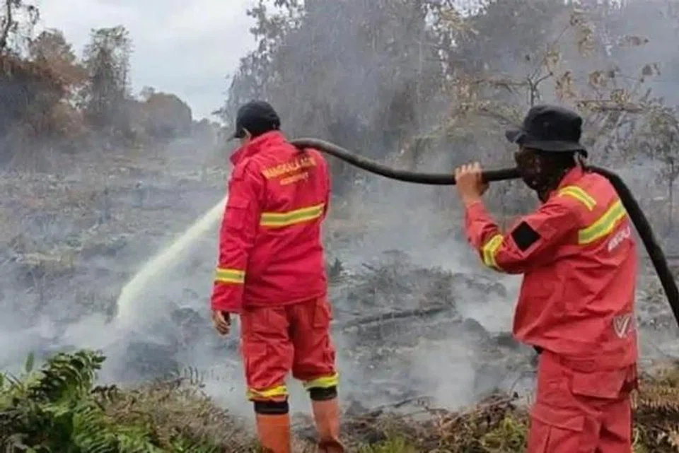 Kebakaran, Riau, Jerebu, November