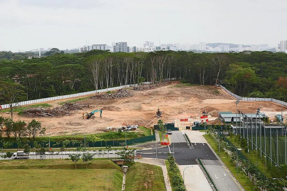 SALAH TEBAS: Daripada kawasan seluas 11 hektar yang telah dibersihkan secara keseluruhan di tapak tanah Kranji Road dan Kranji Close, kawasan seluas 4.5 hektar yang tidak diluluskan pihak berkuasa telah silap ditebas. - Foto LIANHE ZAOBAO