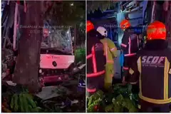 NAHAS: Gambar dan video yang disebar dalam talian menunjukkan bas SBS Transit dengan cermin depan yang pecah selepas ia merempuh pokok. Pemandu bas itu meninggal dunia di tempat kejadian. - FOTO FACEBOOK SINGAPORE ROAD ACCIDENTS.COM