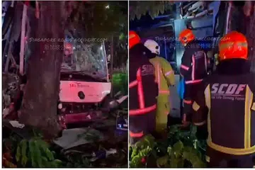 NAHAS: Gambar dan video yang disebar dalam talian menunjukkan bas SBS Transit dengan cermin depan yang pecah selepas ia merempuh pokok. Pemandu bas itu meninggal dunia di tempat kejadian. - FOTO FACEBOOK SINGAPORE ROAD ACCIDENTS.COM