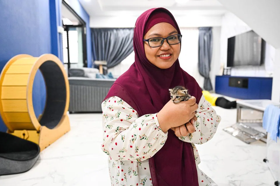 kucing, pengasuh, haiwan peliharaan, Nur Farizah Mat Arsat