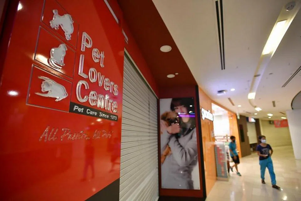 Kedai menjual barang keperluan haiwan peliharaan dan khidmat runcit pembasuhan baju, yang sehingga kini hanya dibolehkan beroperasi menerusi dalam talian dan penghantaran, turut diizinkan buka kedai pada Selasa depan. - FOTO LIM YAOHUI 