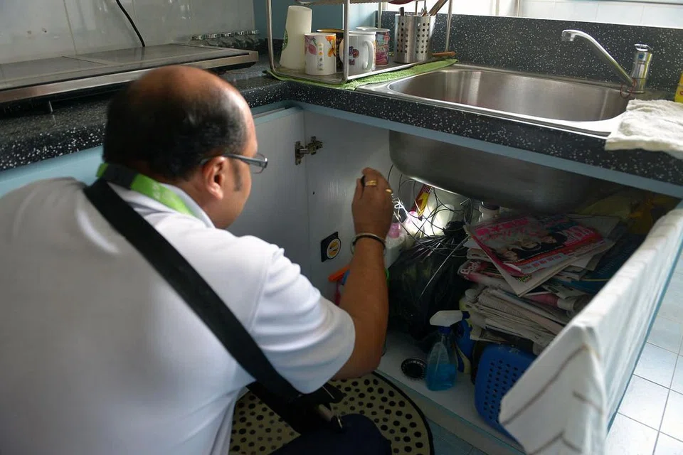 Seorang pegawai NEA memeriksa dalam kabinet dapur sebuah flat bagi memastikan tiada nyamuk membiak. NEA terus menegaskan bahawa pembasmian habitat pembiakan nyamuk dan menyembur racun serangga bagi mengawal populasi nyamuk dewasa masih merupakan kunci pencegahan denggi.