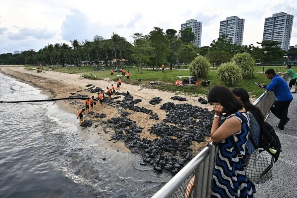 Pekerja membentuk rantaian manusia untuk memindahkan beg pasir yang tercemar dengan minyak berhampiran Terusan Siglap di Taman East Coast pada 19 Jun 2024.