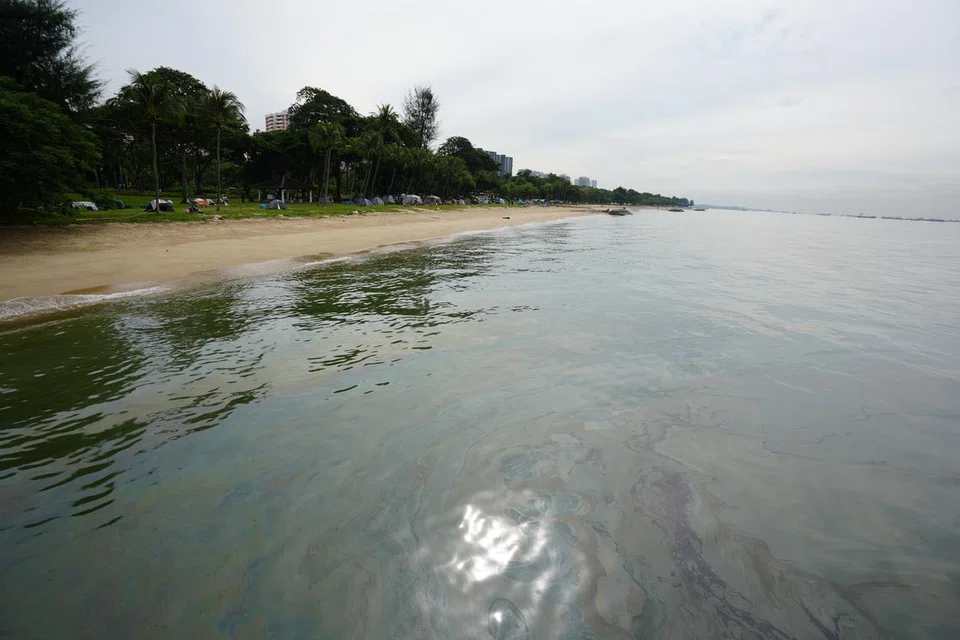 Lapisan minyak dilihat bergenang di permukaan laut di pantai East Coast Park pada 16 Jun.