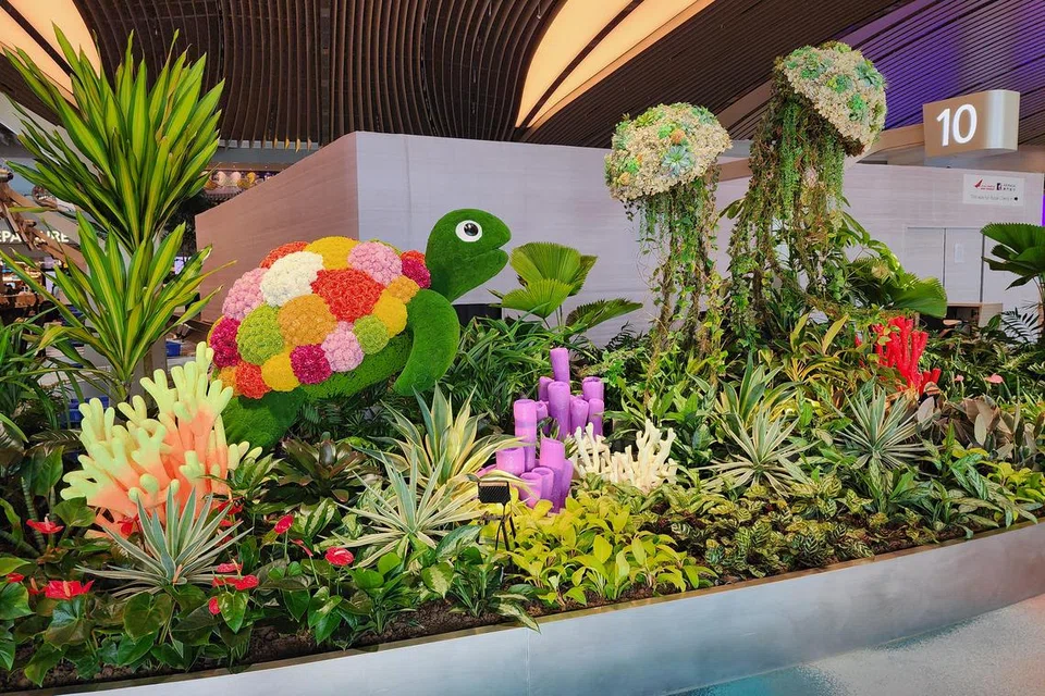 Di Terminal 2 dan Terminal 3 Lapangan Terbang Changi, pengunjung boleh melihat pameran hortikultur dalam bentuk pelbagai hidupan marin seperti kuda laut, ikan badut, penyu, obor-obor dan batu karang. 