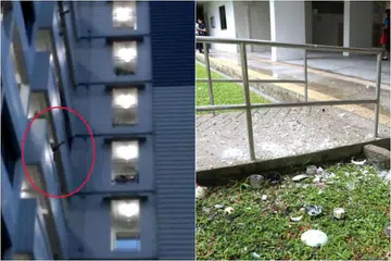 Seorang pembantu rumah berusia 32 tahun yang tinggal di blok yang sama berkata beliau melihat seorang lelaki membuang pelbagai barang termasuk barangan kaca dari tingkat sembilan Blok 64 Marine Drive pada 25 Jun 2018. 