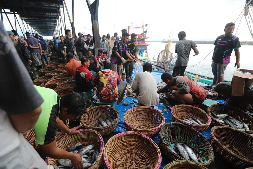 Nelayan memunggah dan menyusun hasil tangkapan ikan dari sebuah bot selepas pulang daripada menangkap ikan di pelabuhan perikanan tradisional Lampulo, Banda Aceh, Indonesia, pada 15 Julai. Kementerian Hal Ehwal Maritim dan Perikanan (KP) mencatat pelaburan dalam sektor maritim dan perikanan mencapai 2.38 trilion rupiah ($206.96 juta) pada suku pertama 2025, menjadikannya penyumbang terbesar kepada pelaburan nasional di Indonesia.