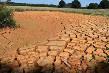 KONTANG AIR: Cawang sungei 'La Sarthe' yang dipanggil 'Le Preau' di Louplande, barat daya Perancis kekontangan air akibat gelombang haba yang melanda sebahagian besar Eropah sejak kebelakangan ini (gambar atas). - Foto AFP