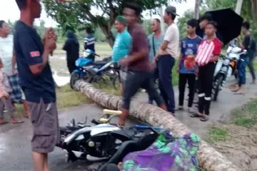 Pelajar Tingkatan Lima maut, manakala rakan sebayanya parah dihempap pokok kelapa yang patah dalam kejadian ribut di Bachok, Kelantan.