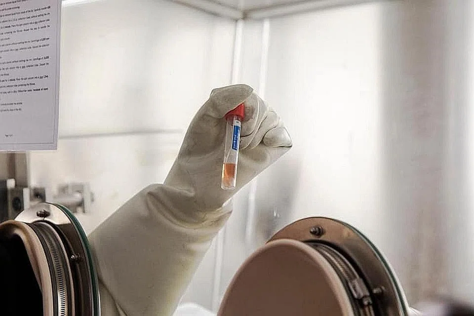 UJI SAMPEL: Saintis menguji sampel menggunakan kit ujian yang dibangunkan HTX. - Foto FACEBOOK JOSEPHINE TEO