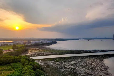 kranji, taman alam semula jadi, estet perumahan, stesen MRT, baru